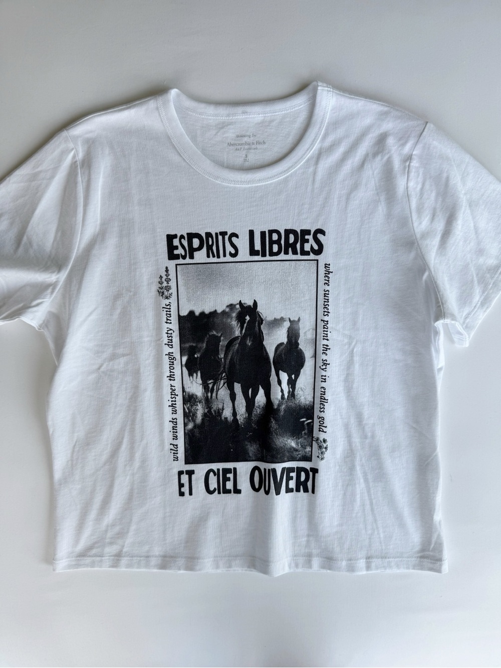 NWOT Abercrombie & Fitch Western Graphic Tee